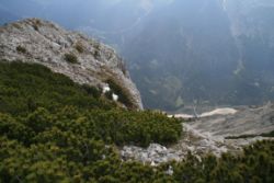 2011-04-24_Regina-F-Rau_Brunnstein-Spitze (165).JPG